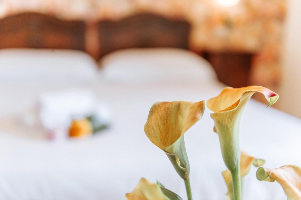 Hotel Aganoor Кастильоне-дель-Лаго Экстерьер фото